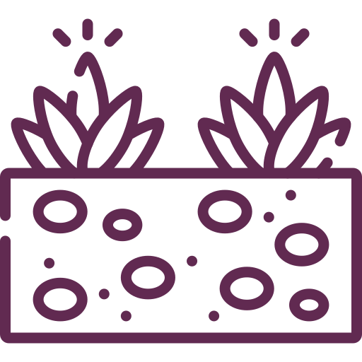 xeriscaping